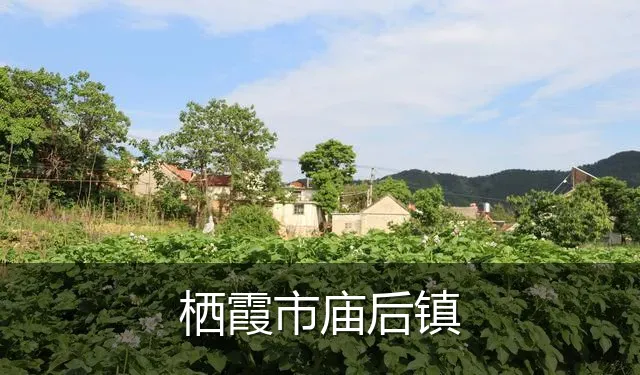 栖霞市庙后镇