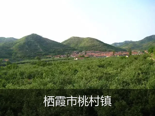 栖霞市桃村镇