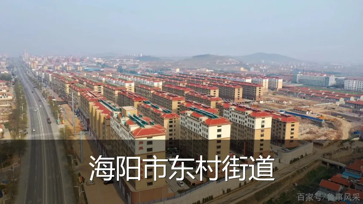 海阳市东村街道