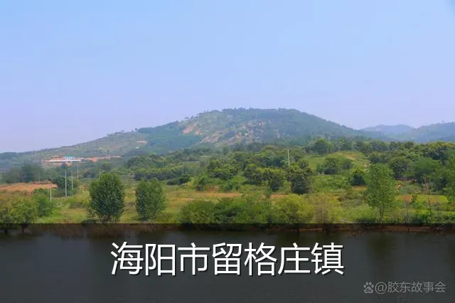 海阳市留格庄镇