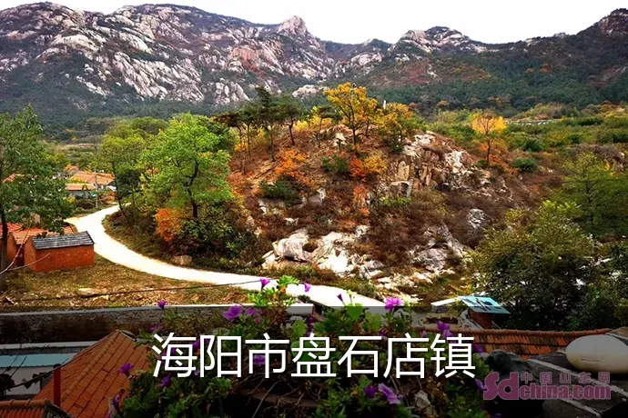 海阳市盘石店镇