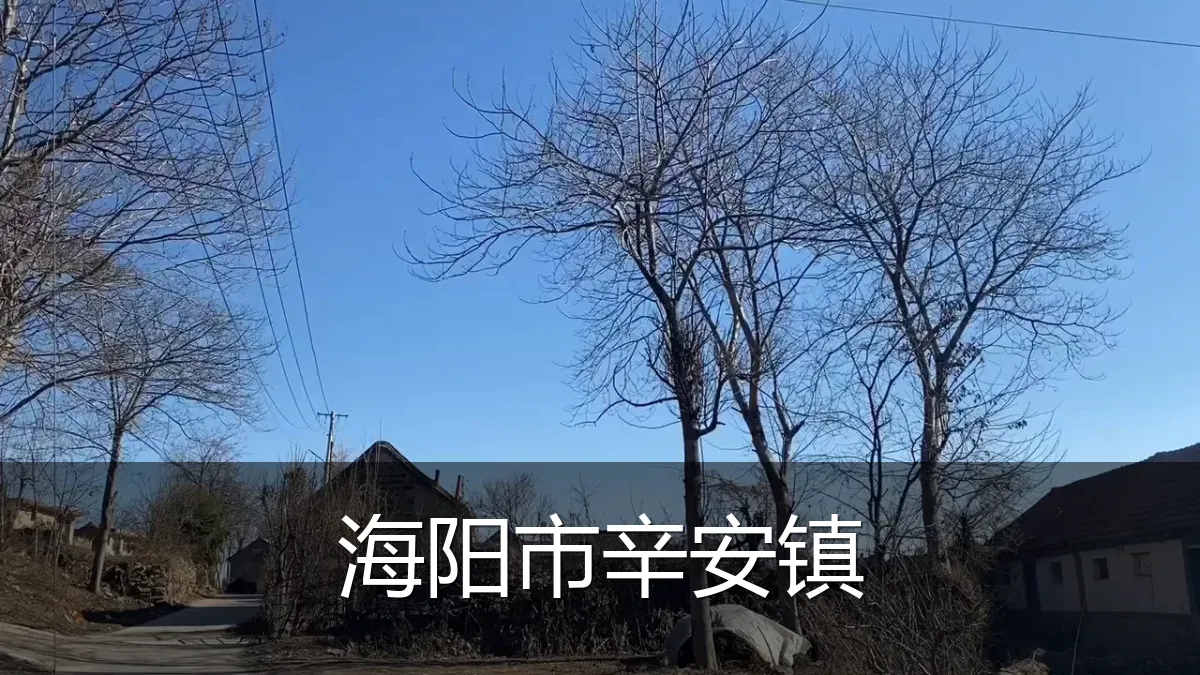 海阳市辛安镇