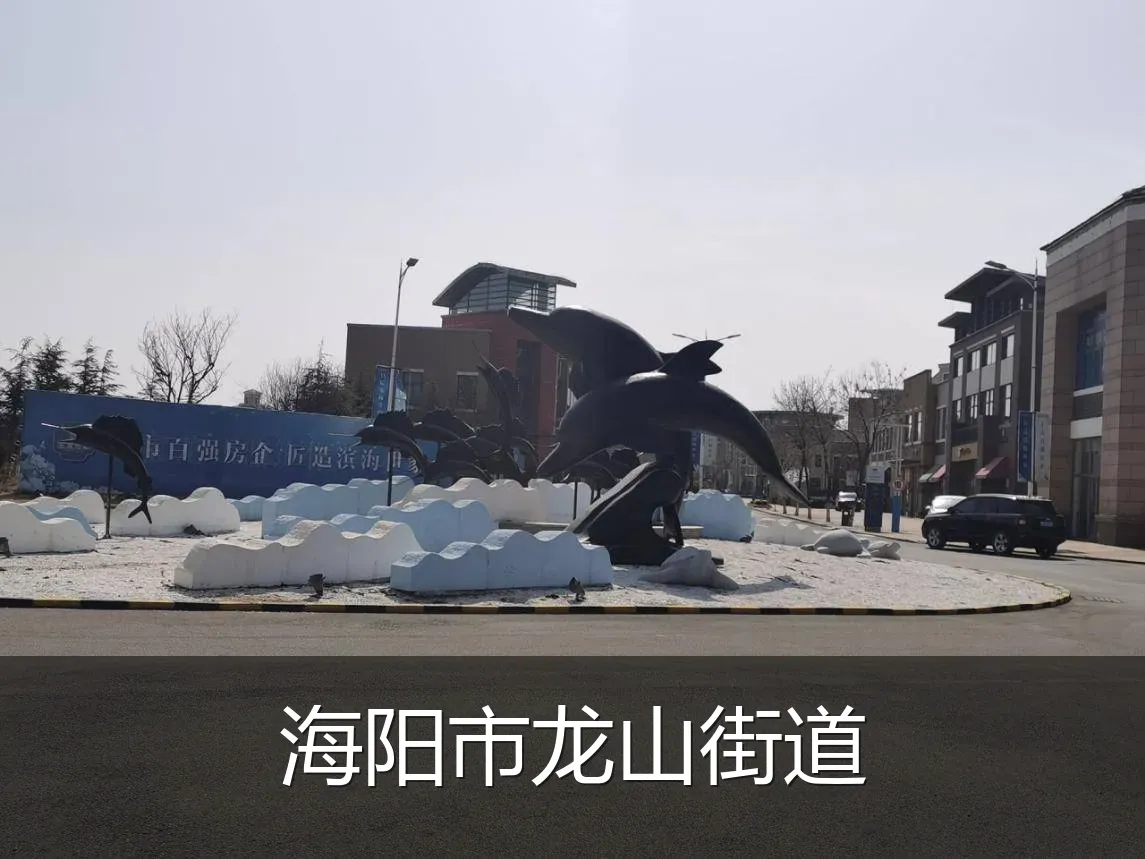 海阳市龙山街道