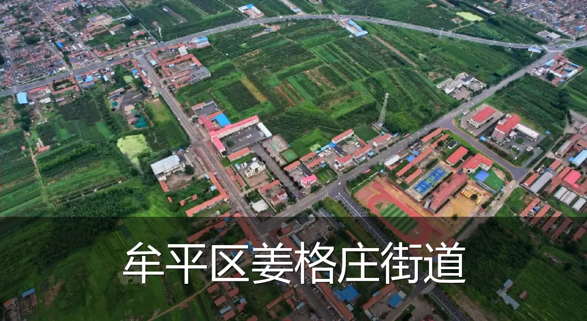 牟平区姜格庄街道