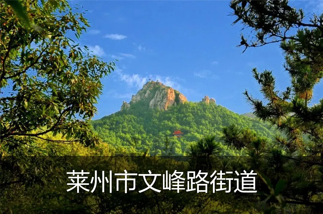 莱州市文峰路街道