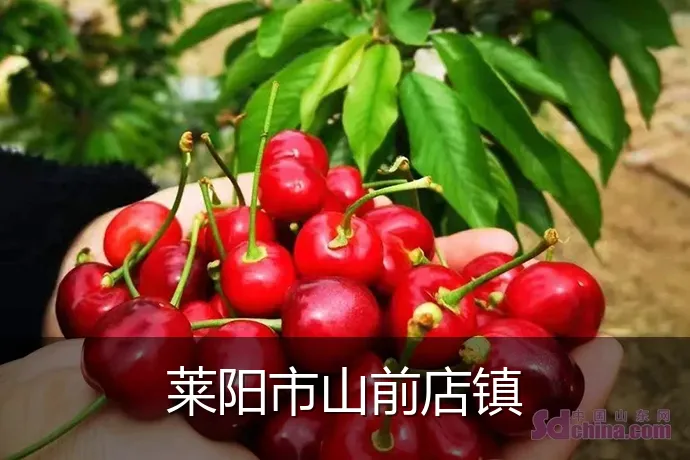 莱阳市山前店镇