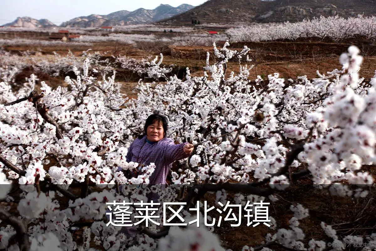 蓬莱区北沟镇