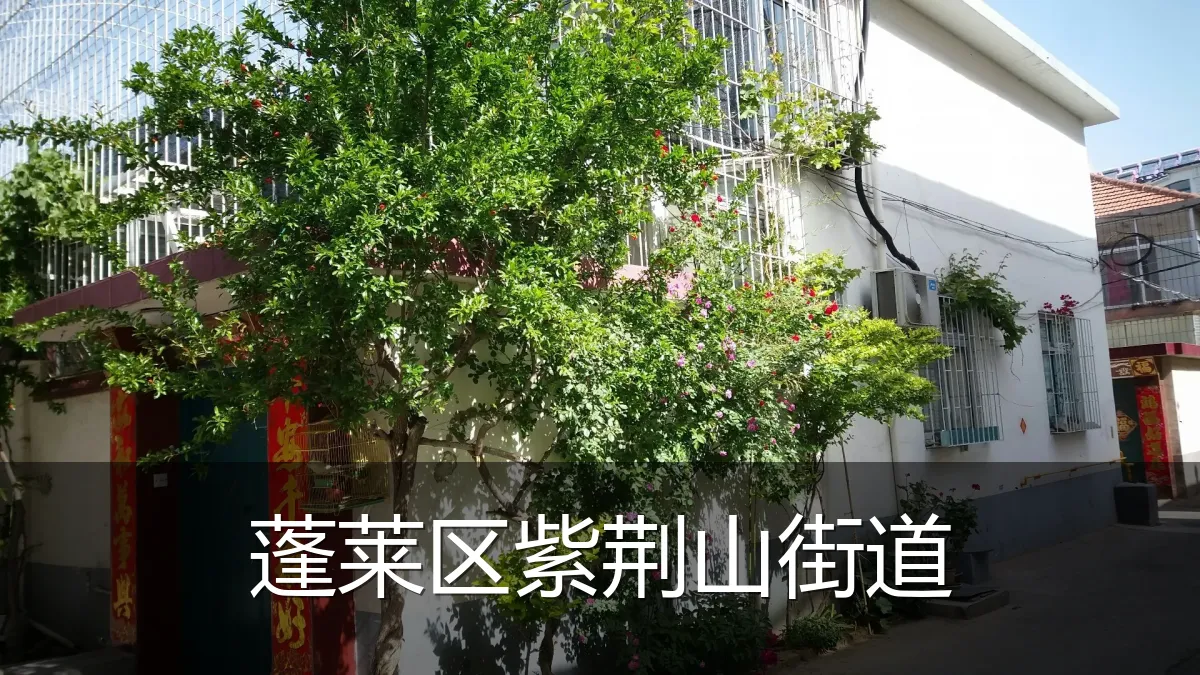 蓬莱区紫荆山街道