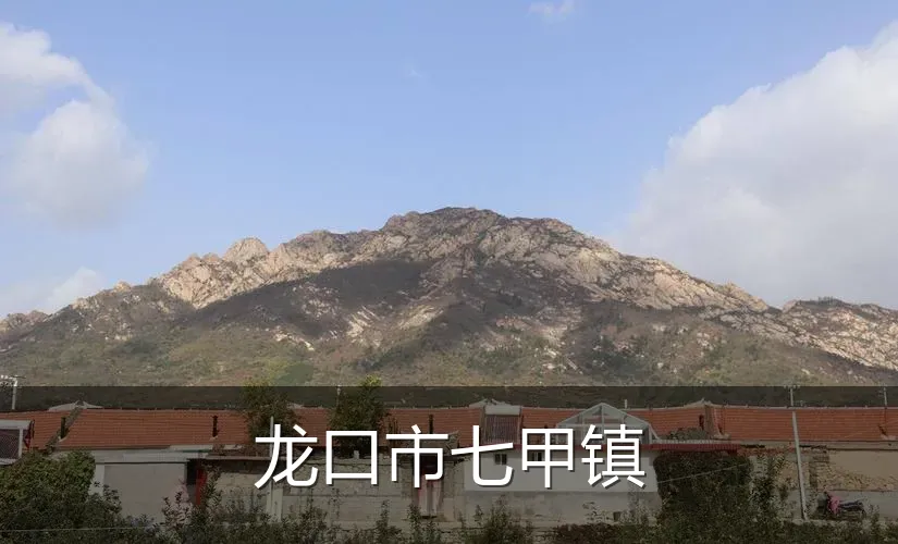 龙口市七甲镇