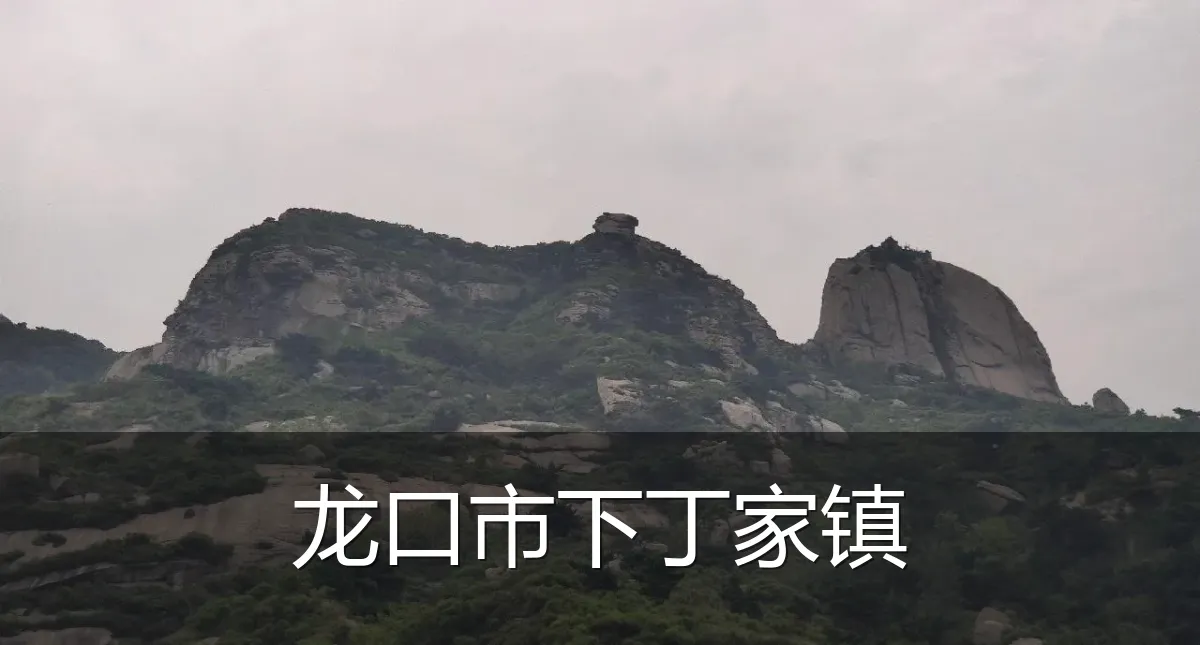 龙口市下丁家镇