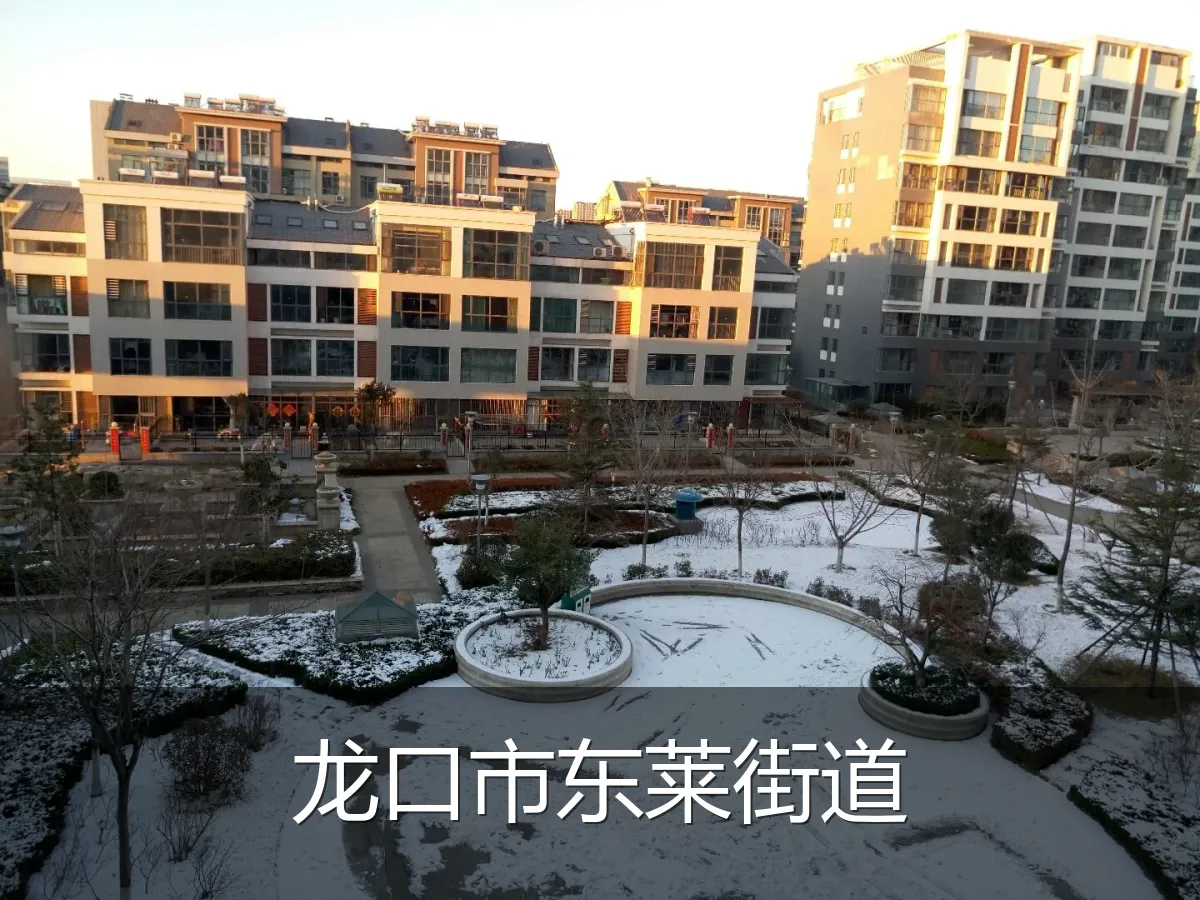 龙口市东莱街道